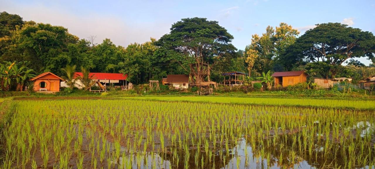 Kaewma Farmstay Khuang Kom Εξωτερικό φωτογραφία