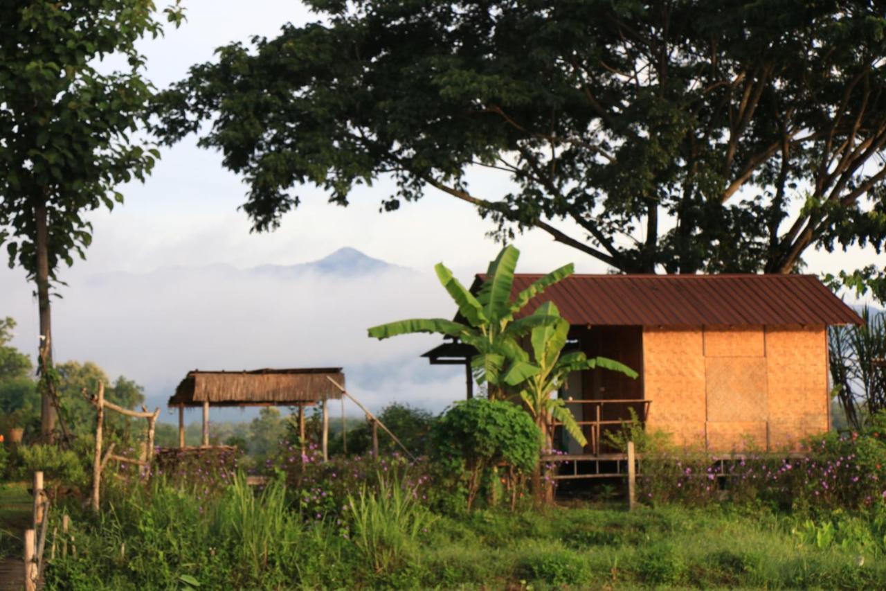 Kaewma Farmstay Khuang Kom Εξωτερικό φωτογραφία