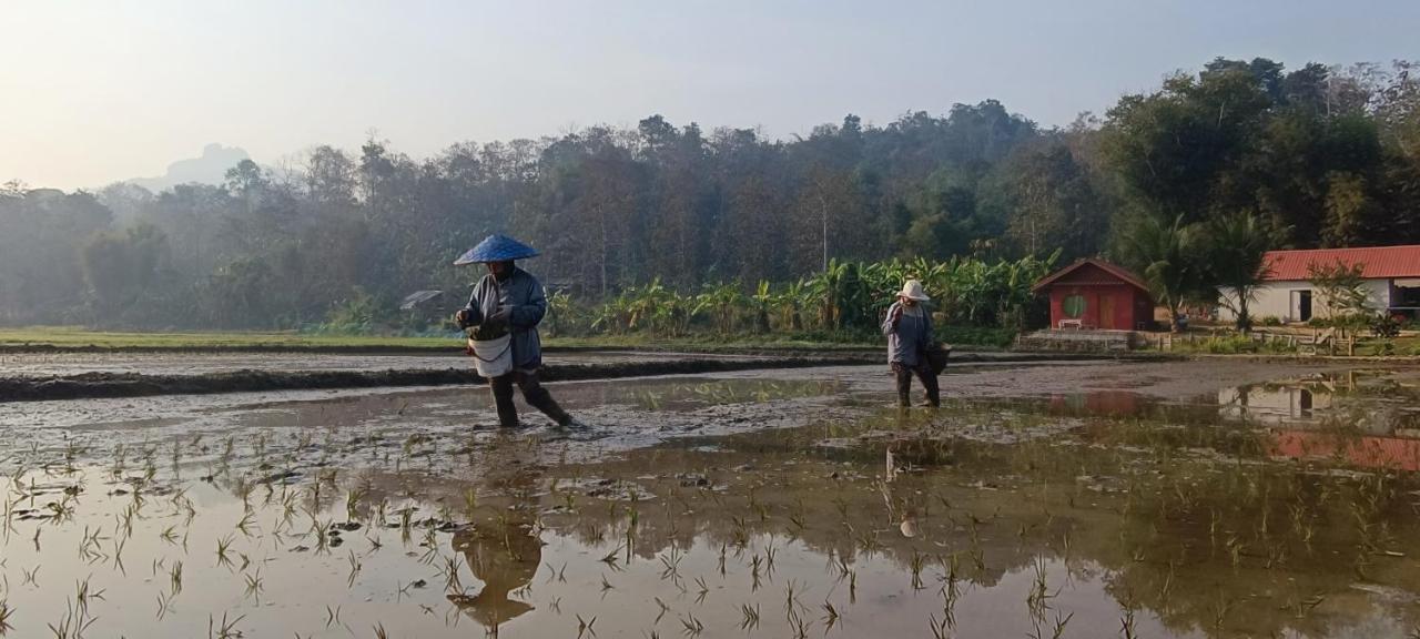 Kaewma Farmstay Khuang Kom Εξωτερικό φωτογραφία