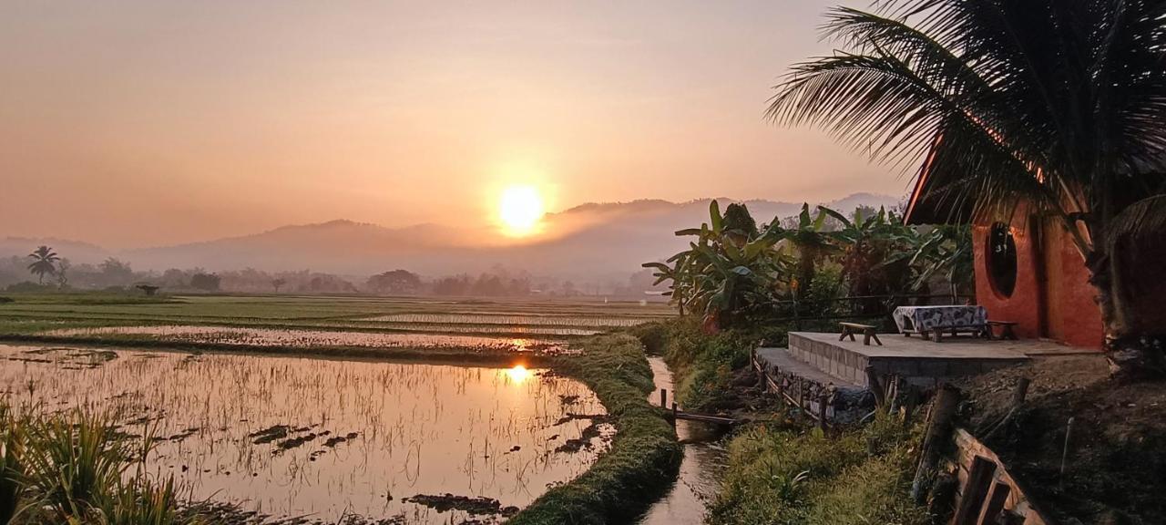 Kaewma Farmstay Khuang Kom Εξωτερικό φωτογραφία
