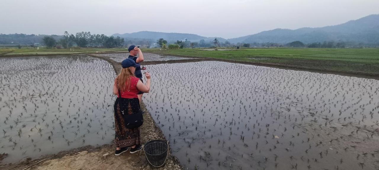 Kaewma Farmstay Khuang Kom Εξωτερικό φωτογραφία