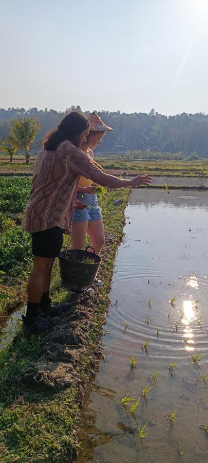 Kaewma Farmstay Khuang Kom Εξωτερικό φωτογραφία