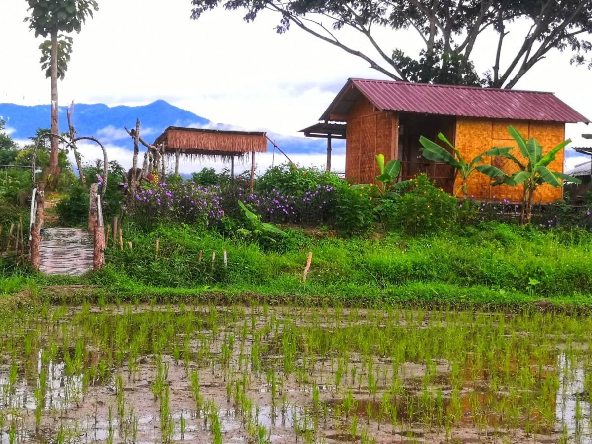 Kaewma Farmstay Khuang Kom Εξωτερικό φωτογραφία