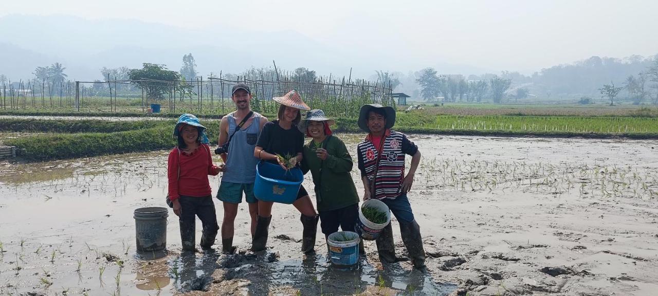 Kaewma Farmstay Khuang Kom Εξωτερικό φωτογραφία