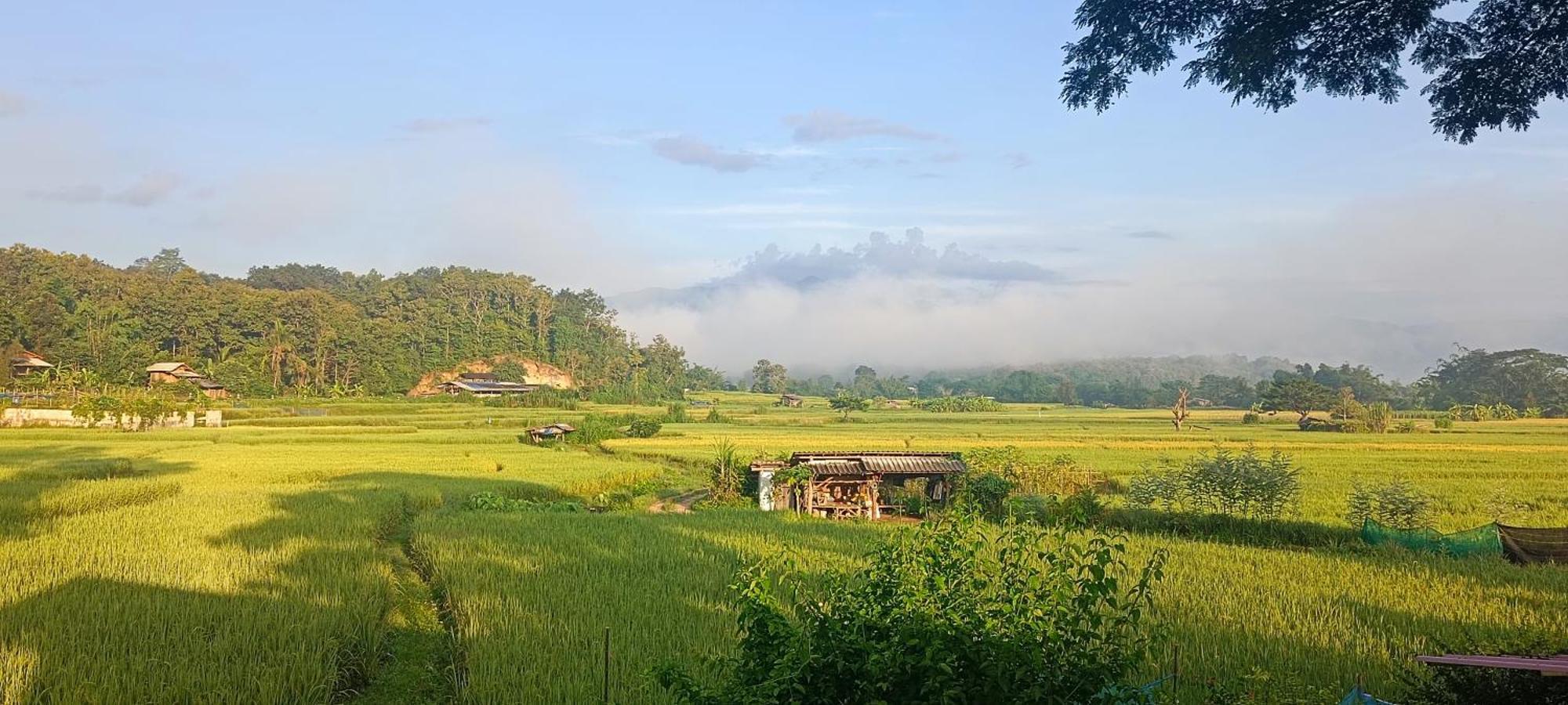 Kaewma Farmstay Khuang Kom Δωμάτιο φωτογραφία